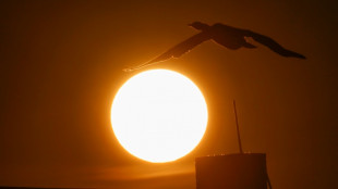 Verivox-Umfrage: Rund ein Viertel will oder hat ein Balkonkraftwerk