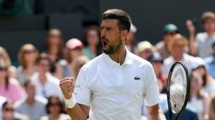 Djokovic banks on 'home' advantage against Davis Cup teammate at Wimbledon