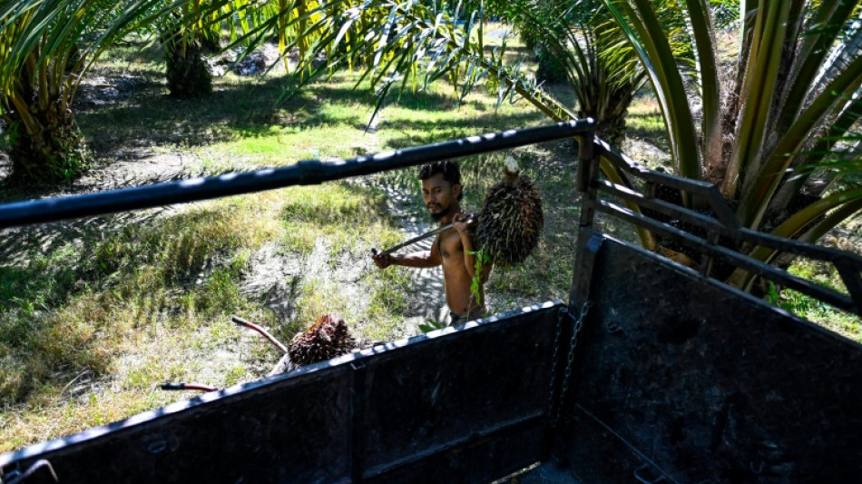 Los derechos de los trabajadores enfrentan una "creciente crisis mundial", seg&uacute;n un informe