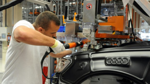 Trump tariffs don't spare his fans in EU