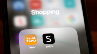 Shein et Temu vendent des chargeurs et des jouets dangereux, selon UFC-Que Choisir