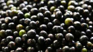 Incerteza nas negocia&ccedil;&otilde;es sobre recursos gen&eacute;ticos e propriedade intelectual na ONU