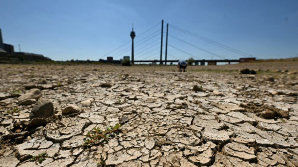 Niedrigwasser durch Trockenheit: Rheinpegel teilweise weiter auf Tiefststand