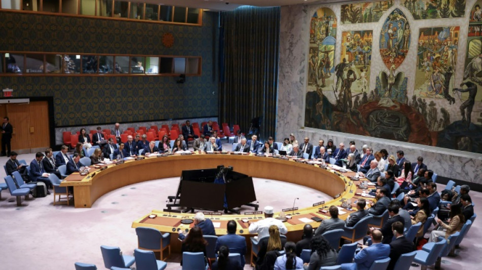Indignaci&oacute;n tras veto de EEUU en la ONU a resoluci&oacute;n a favor del alto el fuego en Gaza