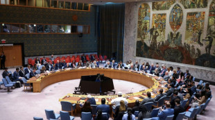 Se espera que EEUU vete nueva resoluci&oacute;n sobre Gaza en el Consejo de Seguridad