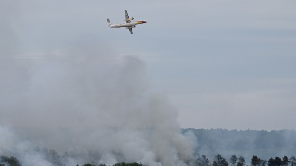 Bretagne: l'incendie dans la forêt de Brocéliande est fixé