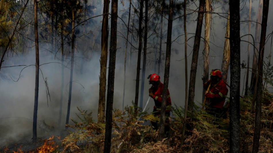 Incendios se extienden por sur de Europa, España vive pico de la ola de calor
