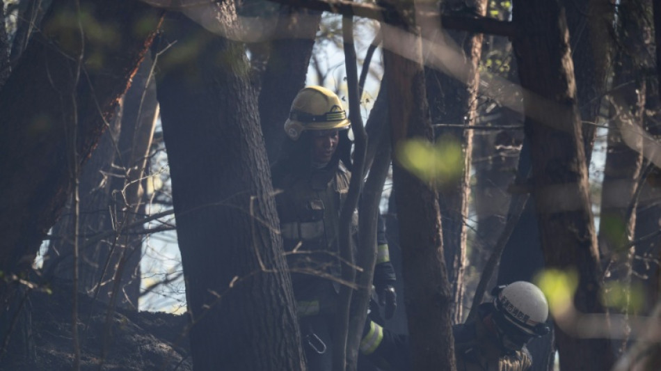 Jap&oacute;n contiene tras 11 d&iacute;as uno de los mayores incendios forestales en d&eacute;cadas