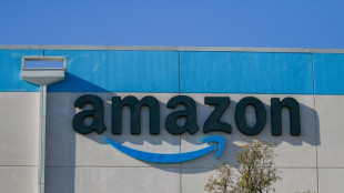 Amazon a profit&eacute; des f&ecirc;tes et pr&eacute;voit de d&eacute;penser 100 milliards de dollars en 2025