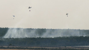 Les incendies ont dévasté 30.000 hectares supplémentaires en 24 heures en Espagne