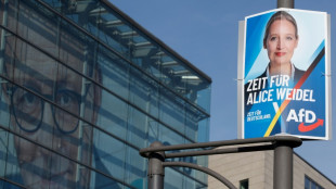 Allemagne : l'AfD contre-attaque apr&egrave;s son classement comme parti "extr&eacute;miste"