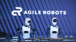 Robots humano&iuml;des, donn&eacute;es... l'IA au chevet de l'industrie allemande 