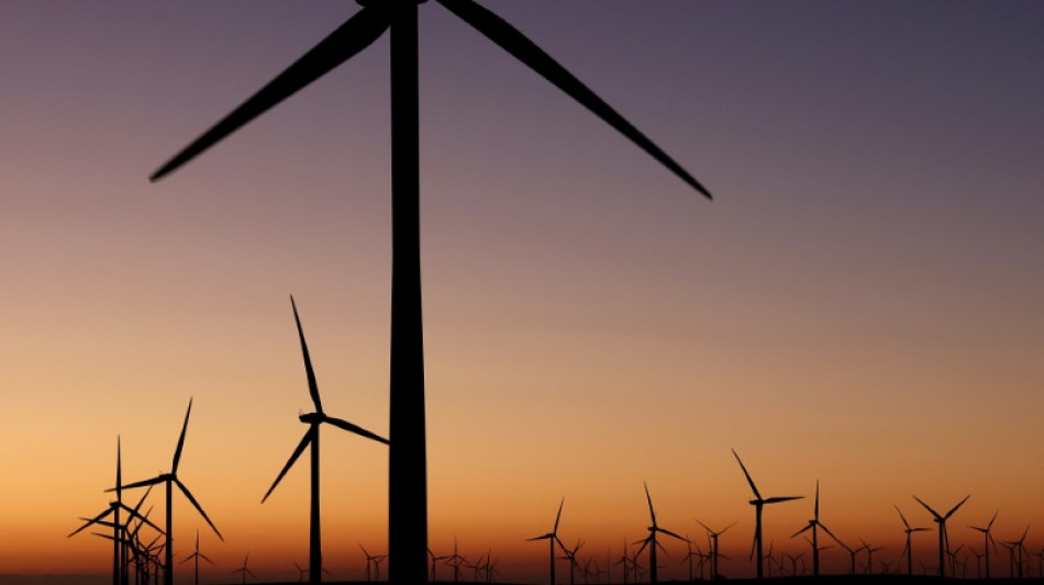 Con Trump, la energ&iacute;a e&oacute;lica entra en terreno desconocido en EEUU