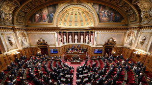 McKinsey: le S&eacute;nat a saisi la justice pour "suspicion de faux t&eacute;moignage"