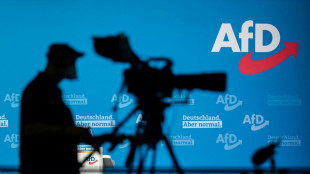 Nach Haushaltsbereinigung: AfD kritisiert "gigantische Schulden" 
