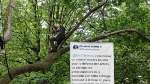 Tour Eiffel: re&ccedil;u par le gouvernement, le militant pro-arbres descend du platane
