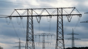 Tennet pr&uuml;ft m&ouml;glichen Verkauf seines deutschen Stromnetzes an deutschen Staat