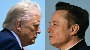 Musk deletes post claiming Trump 'in the Epstein files'