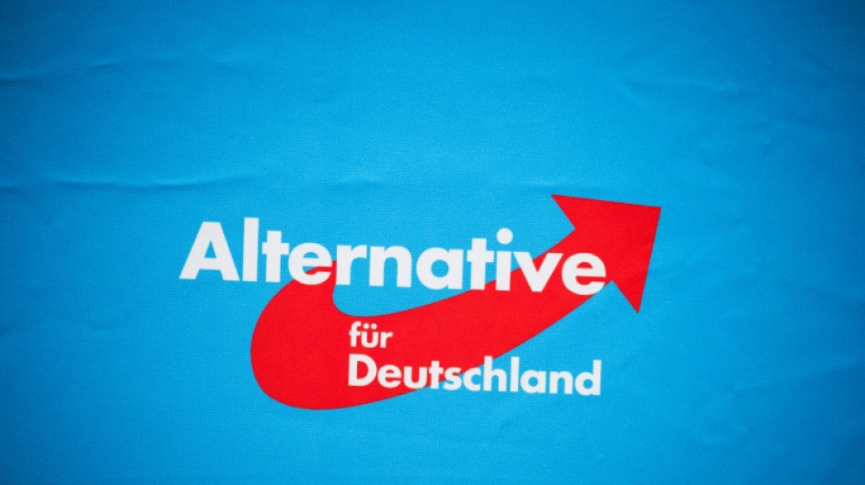 Th&uuml;ringischer Minister erwartet nach Meuthen-Abgang weitere AfD-Radikalisierung