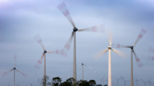 Union stimmt mit Gr&uuml;nen und SPD f&uuml;r Paket von Energiegesetzen