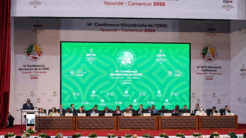 L'OMC joue les prolongations &agrave; Yaound&eacute;, le Br&eacute;sil entre en jeu