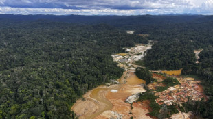 Brasil avanza contra miner&iacute;a ilegal en tierra yanomami