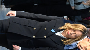 Meloni, viva le forze armate, liberi anche grazie a loro