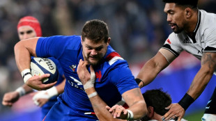 'Multiple concussions' force France lock Willemse to retire