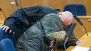 Un médecin syrien condamné à perpétuité en Allemagne pour crimes contre l'humanité sous Assad