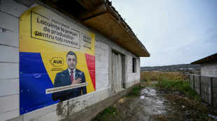 En Roumanie, des maisons en kit au service des ambitions pr&eacute;sidentielles de l'extr&ecirc;me droite 