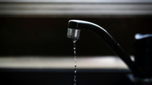 Polluants éternels et perturbateurs endocriniens: les risques pendant la grossesse se précisent