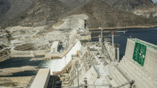 Ethiopia's mega dam on the Nile 'now complete': PM