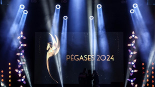 P&eacute;gases 2025: le jeu vid&eacute;o fran&ccedil;ais f&ecirc;t&eacute; &agrave; Paris, dans l'ombre de la crise