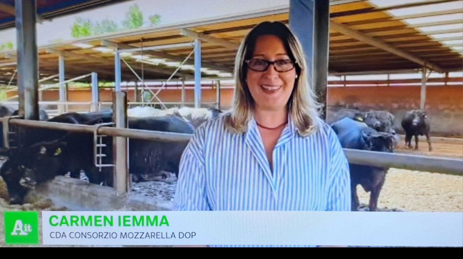 'Mozzarella di bufala campana unico modello solido creato dalla filiera bufalina'