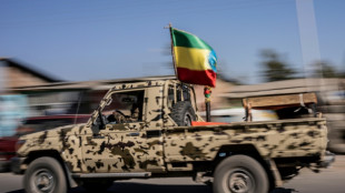 Ethiopie: les rebelles du Tigr&eacute; participeront aux pourparlers de paix en Afrique du Sud 