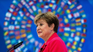 Countries must 'make the best' of new multipolar world: IMF chief