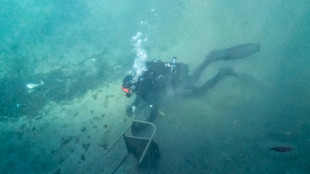 La investigaci&oacute;n m&eacute;dica busca en los fondos marinos las mol&eacute;culas del futuro
