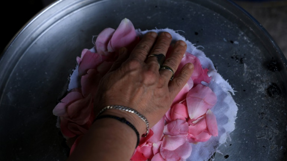 Albania town where everything's coming up roses