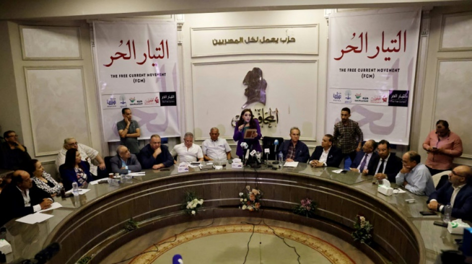 Egypte: six mois ferme pour le chef de l'opposition lib&eacute;rale priv&eacute; de pr&eacute;sidentielle