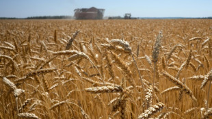 UE prop&otilde;e implementar tarifas 'proibitivas' para cereais russos