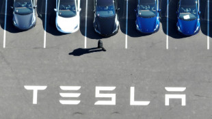 EU-US trade deals buoy stocks while Tesla plummets