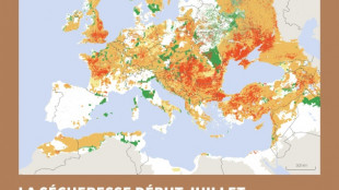 Sécheresse record pour un début juillet en Europe et sur le pourtour méditerranéen