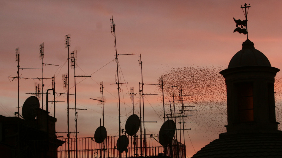 Tiv&ugrave;sat avvia il cambio tecnologico, stop alle smartcard 'tiger' nei prossimi mesi