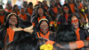 L&iacute;deres ind&iacute;genas mundiais pedem mesmo peso que chefes de Estado na COP30