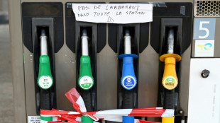 TotalEnergies: la gr&egrave;ve continue, Macron appelle les automobilistes au "calme"