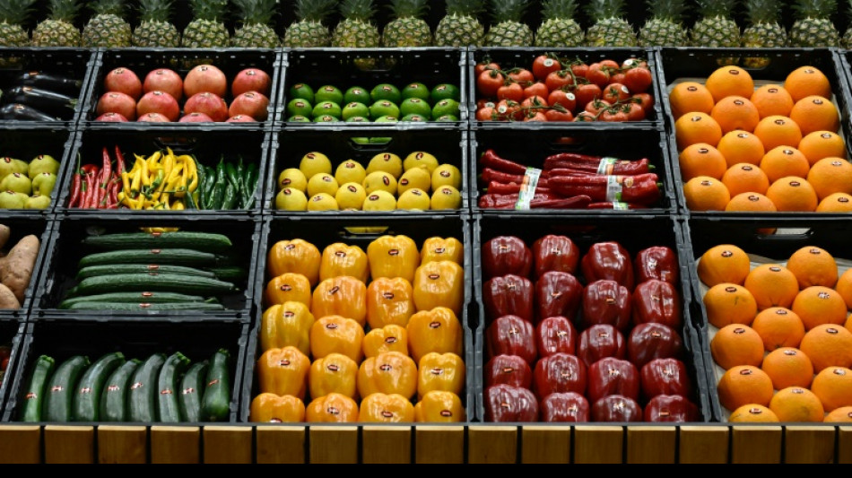 Flexitarische Kost und Darmgesundheit: Experten stellen Ern&auml;hrungstrends vor