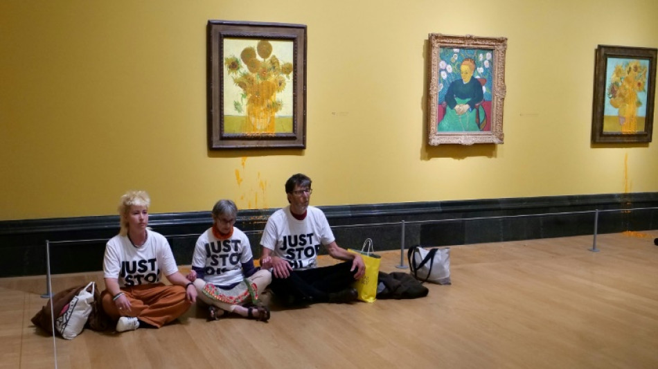 Les "Tournesols" de Van Gogh &agrave; nouveau cibl&eacute;s apr&egrave;s les peines de prison inflig&eacute;es &agrave; deux militantes &eacute;cologistes