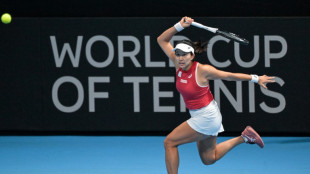 Jap&oacute;n y Estados Unidos completan la 'Final 8' de la BJK Cup