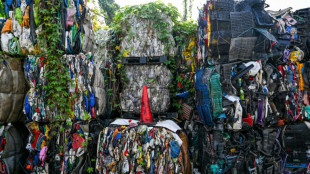 NGOs laud tougher Malaysia plastic trash import laws