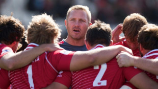 Former Springbok Ackermann succeeds White as Bulls coach